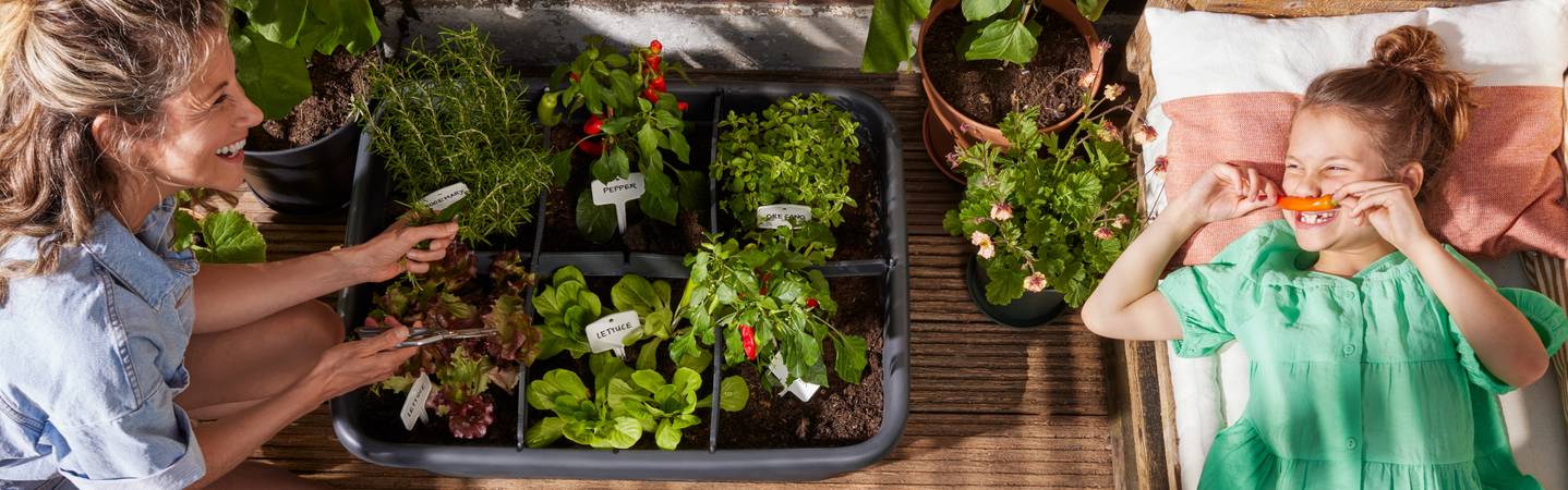 green basics grow garden l living black